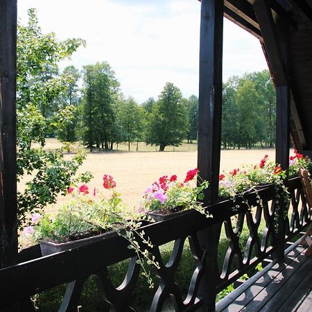 Landgasthof Zur Wildbahn 부르크 외부 사진