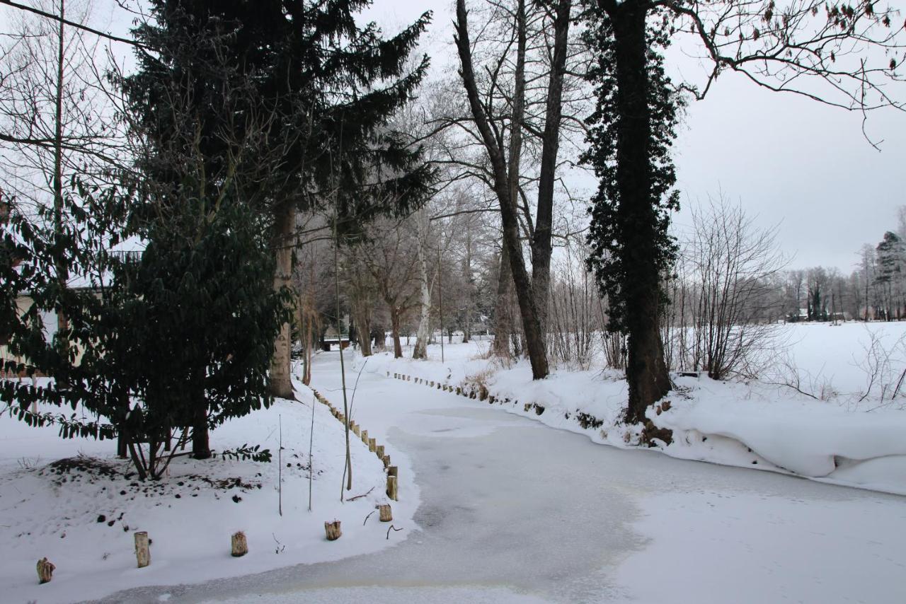 Landgasthof Zur Wildbahn 부르크 외부 사진